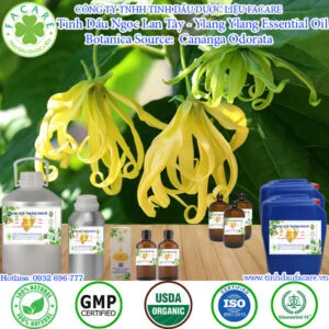 Tinh Dầu Ngọc Lan Tây - Ylang ylang Giá Sỉ