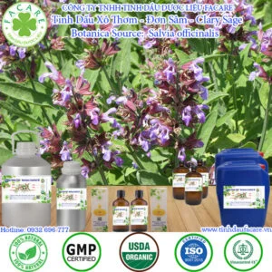 Tinh Dầu Xô Thơm - Đơn Sâm - Clary Sage Giá Sỉ