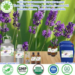 Tinh Dầu Oải Hương - Lavender Giá Sỉ