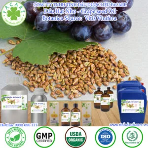 Dầu Hạt Nho - Grape seed Giá Sỉ