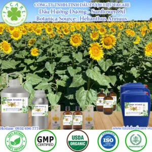 Dầu Hướng Dương - Sunflower Giá Sỉ