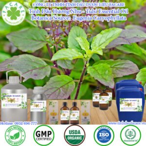 Tinh Dầu Hương Nhu -Tulsi Giá Sỉ