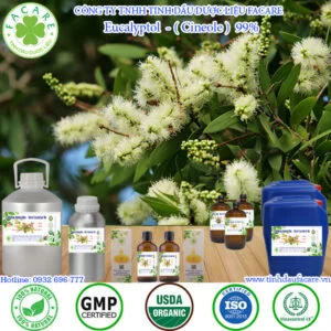 Tinh Dầu Tràm 99% - Eucalyptol Giá Sỉ