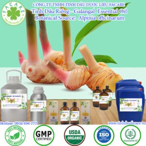 Tinh Dầu Riềng - Galangal Giá Sỉ